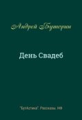 Обложка книги "День Свадеб"