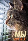 Обложка книги "Мы: Кот и Я"