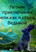 Обложка книги "Летние приключения или как я стала Ведьмой"