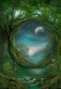 Обложка книги "Зачарованный лес"