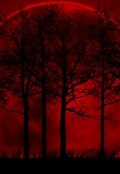 Обложка книги "Достойная жертва"