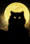 Обложка книги "К худу или к добру"