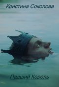 Обложка книги "Падший Король"
