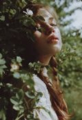 Обложка книги "За солнцем"