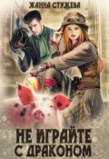 Обложка книги "Не играйте с драконом"