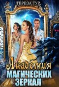 Обложка книги "Академия магических зеркал"