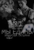 Обложка книги "Мы едины"