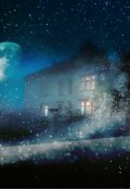 Обложка книги "Одна ночь в году"
