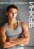 Обложка книги "Инкуб. Охота на полубога"