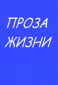 Обложка книги "Проза жизни"