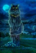 Обложка книги "Развлеки себя и других (3)"