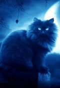 Обложка книги "Воры! (4)"
