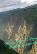 Обложка книги "Дракон, Барс и ведьма. Первый контракт."