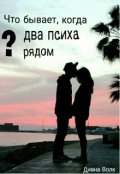 Обложка книги "что бывает, когда два психа рядом"