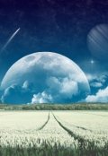 Обложка книги "Чужие небеса"
