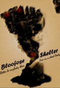 Обложка книги "Shelter"
