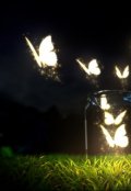 Обложка книги "Бабочка небесного цвета"