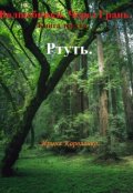 Обложка книги "Волшебники. Через Грань. Книга третья. Ртуть."