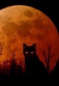Обложка книги "Кошка"