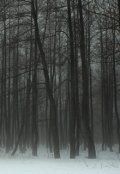 Обложка книги "Темный снег"