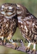 Обложка книги "Я помню день"