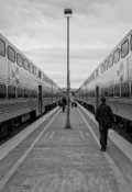 Обложка книги "Потерянная семья."