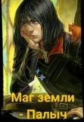 Обложка книги "Маг земли - Палыч"