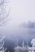 Обложка книги "Лёд"
