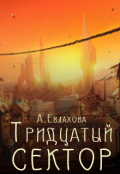 Обложка книги "Тридцатый сектор"