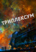Обложка книги "Триплексум"