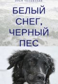 Обложка книги "Белый снег, чёрный пёс"