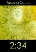 Обложка книги "2:34"