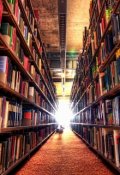 Обложка книги "Библиотекарь"