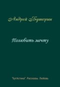 Обложка книги "Полюбить мечту"