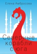 Обложка книги "Северные корабли с юга"