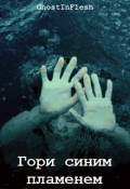 Обложка книги "Гори синим пламенем"