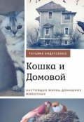 Обложка книги "Приключения Кошки и Домового"