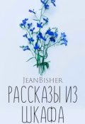 Обложка книги "Рассказы из шкафа"