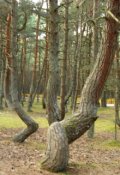 Обложка книги "37-й километр. Боль или танец?"