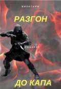 Обложка книги "Разгон до капа."