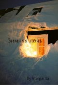 Обложка книги "Зимняя ночь."
