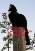 Обложка книги "Любимая женщина кота Механика"