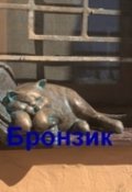 Обложка книги "Бронзик"