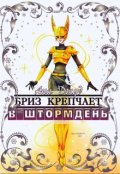 Обложка книги "Бриз крепчает в штормдень"