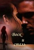 Обложка книги "Воск и сталь"