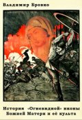 Обложка книги "История "Огневидной" иконы Божией Матери и ее культа"