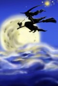 Обложка книги "Чудо"
