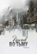 Обложка книги "Прыжок во Тьму"
