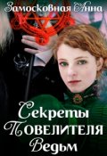 Обложка книги "Секреты повелителя ведьм"