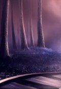 Обложка книги "Транзитом через Рай"